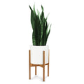Fox and Fern Adjustable Plant Stand, Green