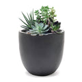 Acushnet Pot Planter Sol 72 Outdoor Color: Dark Gray, Size: 9.2" H x 9.9" W x 9.9" D