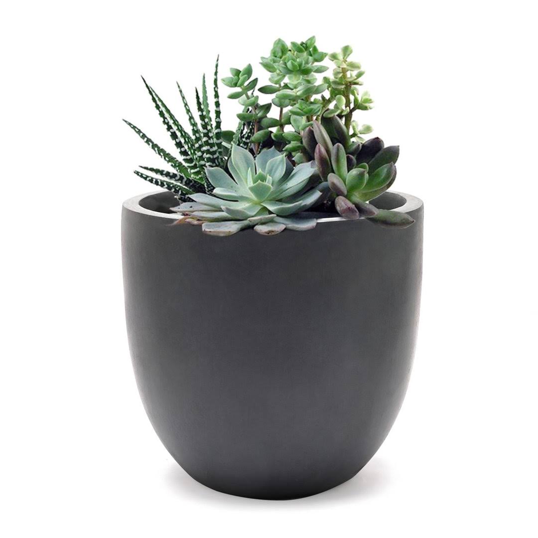Acushnet Pot Planter Sol 72 Outdoor Color: Dark Gray, Size: 9.2" H x 9.9" W x 9.9" D