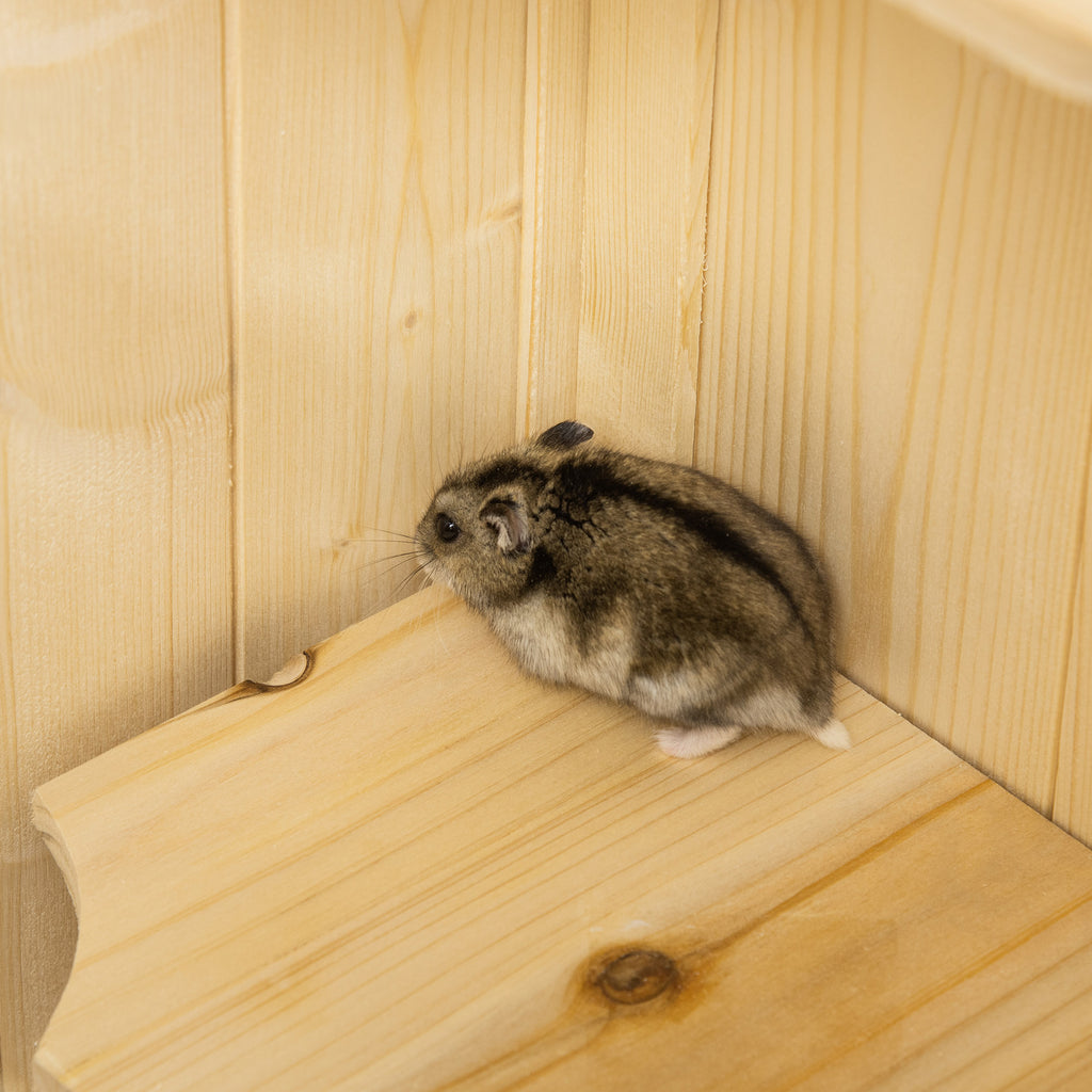 PawHut Hamsterkäfig aus Holz 5 Etagen Nagarium Nagerkäfig Kleintierkäfig mit Gitterdach Rampen, Holzkäfig Mäusekäfig groß Käfig für Hamster Zwerghamster 60 x 40 x 120 cm Naturholz