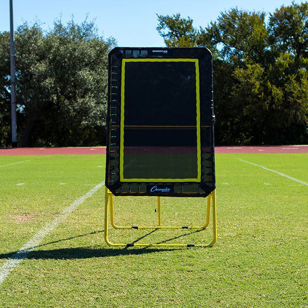 Champion Sports XL Deluxe Lacrosse Target: Ball Return Bounce Back Net Set for Professional, College and Grade School Training & Drills - 6' x 4' Rebound Area
