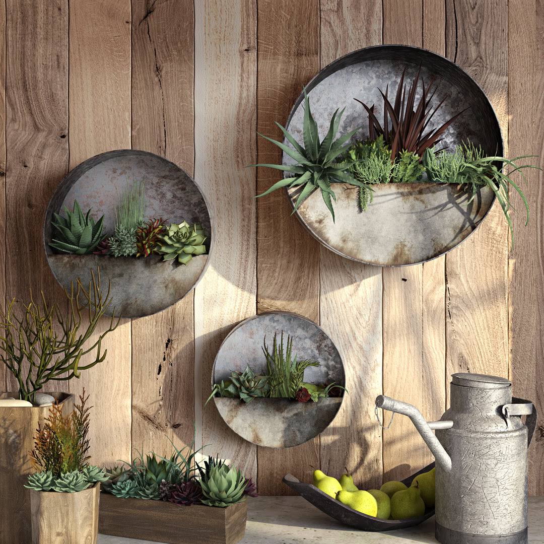 Williston Forge Addison Succulent 3-Piece Steel Wall Planter Set
